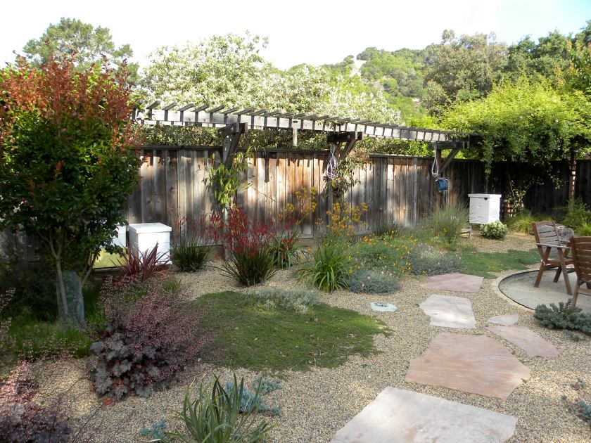 This is a gravel garden.  See Beth Chatto's gravel garden.  Arbor/fence existing